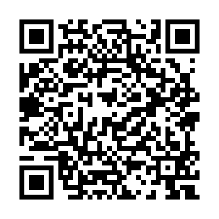 QR code for P393932