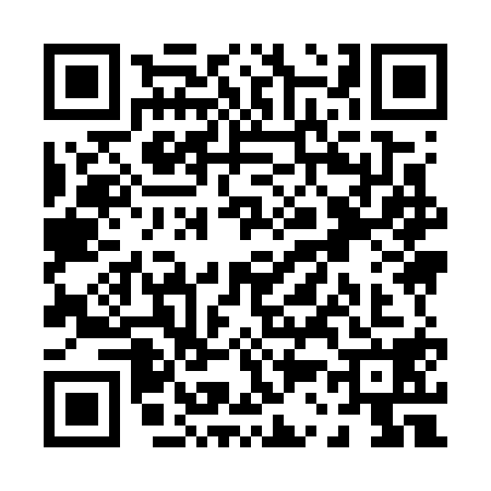 QR code for P397185