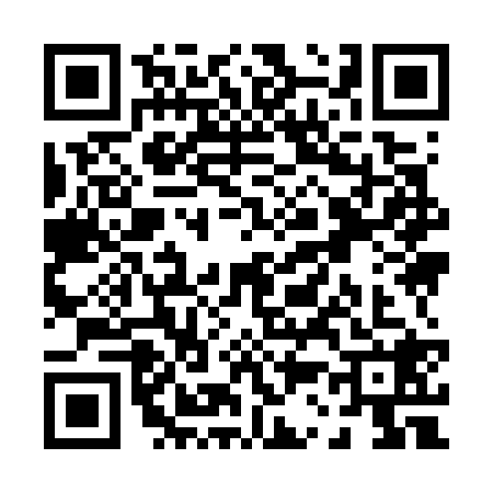 QR code for P397289