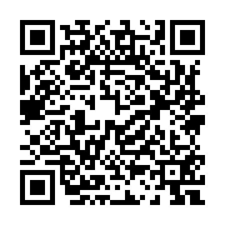 QR code for P399517