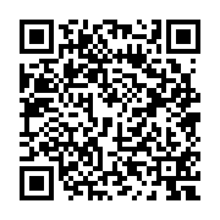 QR code for P403113