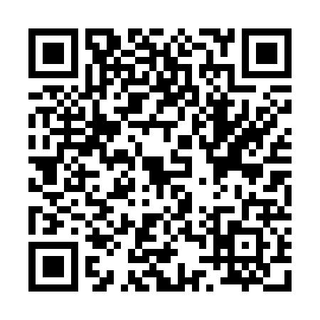 QR code for P403228