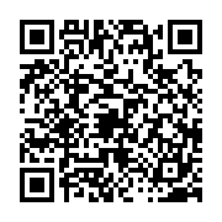 QR code for P403773