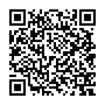 QR code for P404368