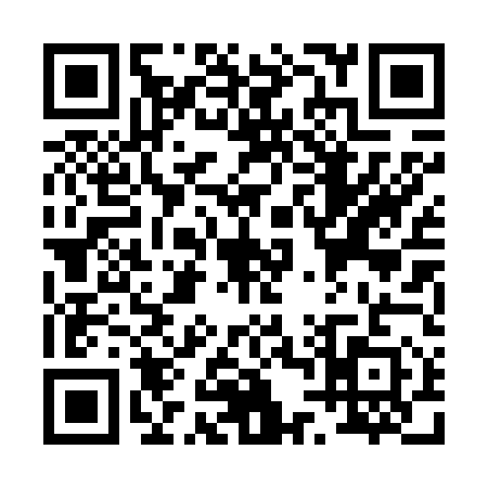 QR code for P406511