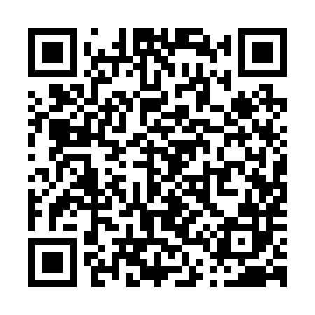 QR code for P41282