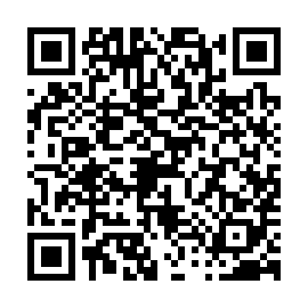 QR code for P413889