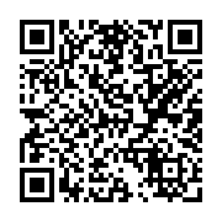 QR code for P41398