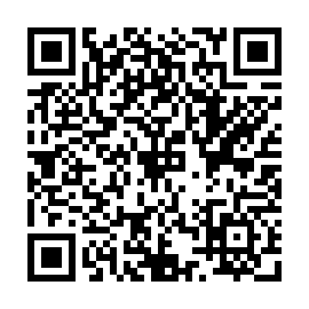 QR code for P416666