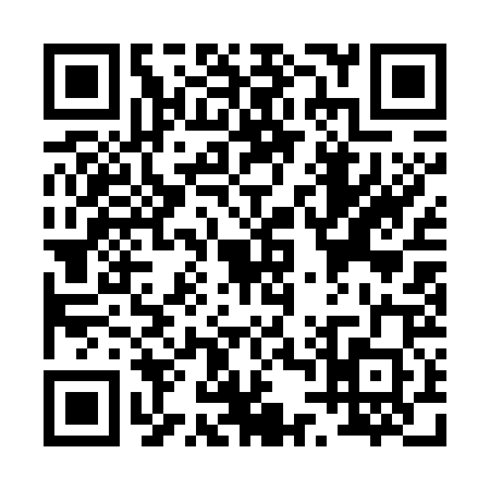 QR code for P417202