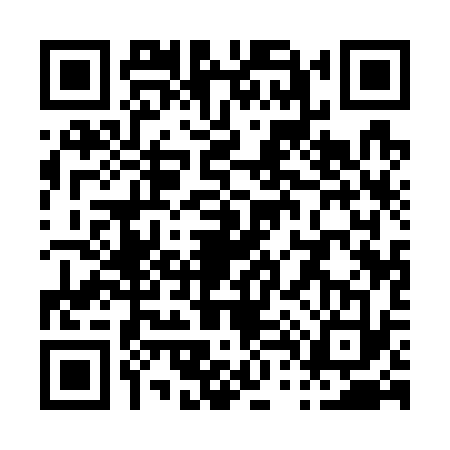 QR code for P417338