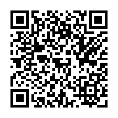 QR code for P419297