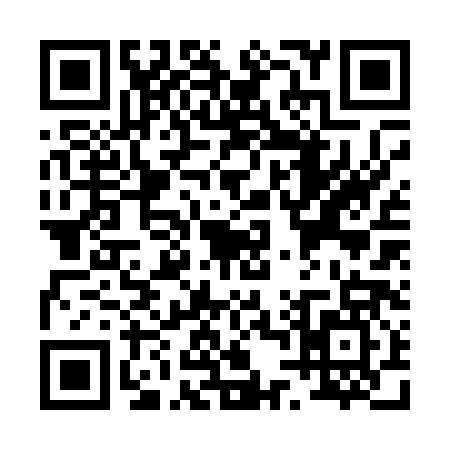 QR code for P420870