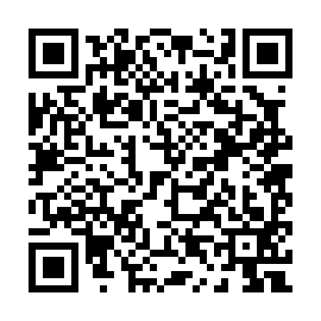 QR code for P420932