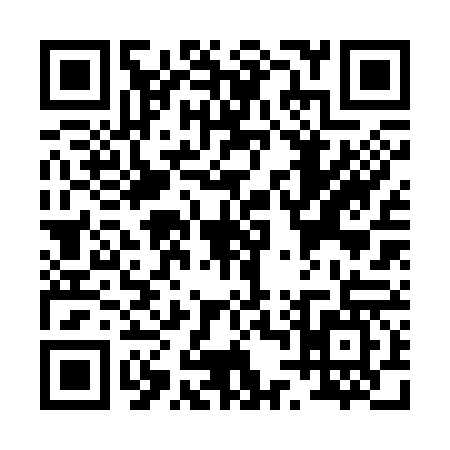 QR code for P423676