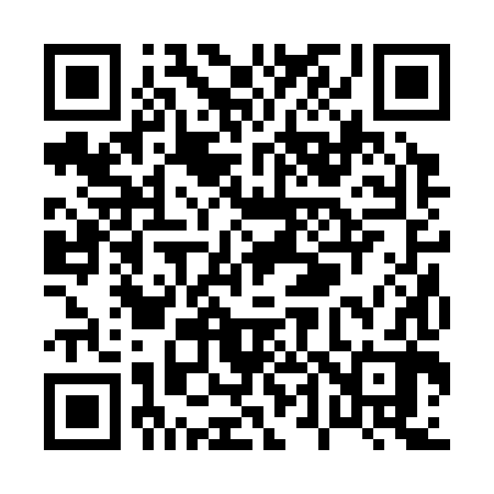 QR code for P42382
