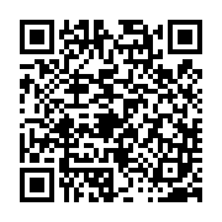 QR code for P424438