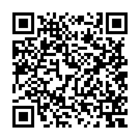 QR code for P428179