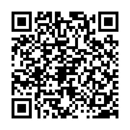 QR code for P432384