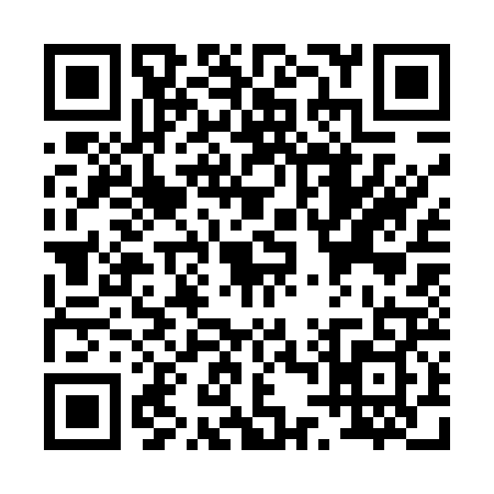QR code for P435291