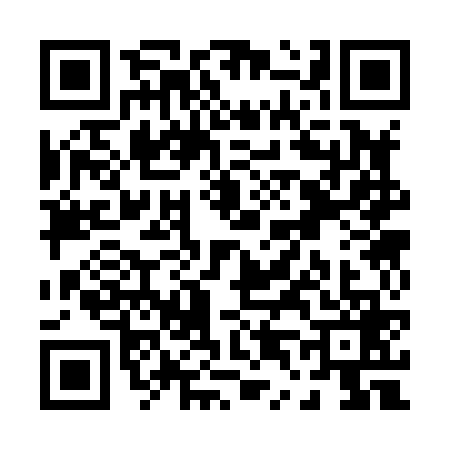 QR code for P438697