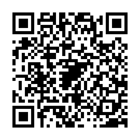 QR code for P441599