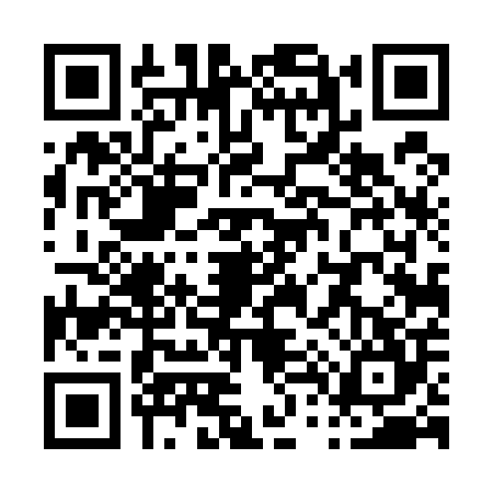 QR code for P445040