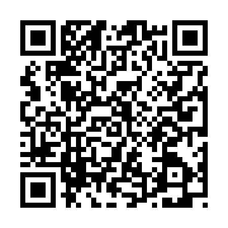 QR code for P446174