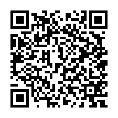 QR code for P454542