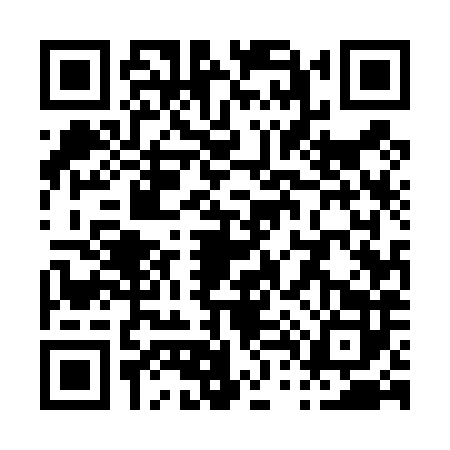 QR code for P454825
