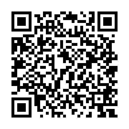 QR code for P455486