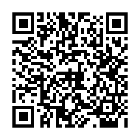 QR code for P456634