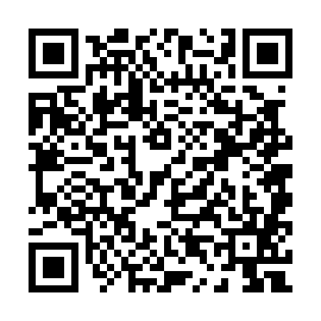 QR code for P460858