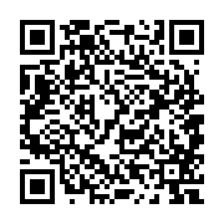 QR code for P462874