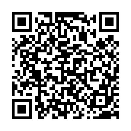 QR code for P46452