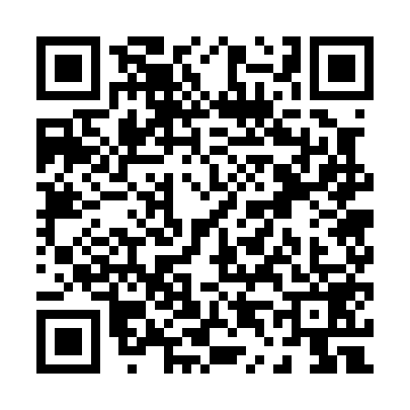 QR code for P470594