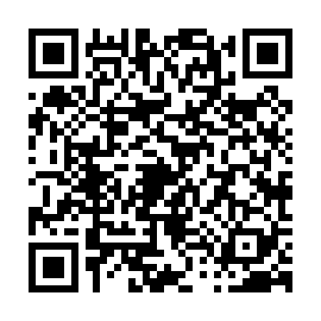 QR code for P480295