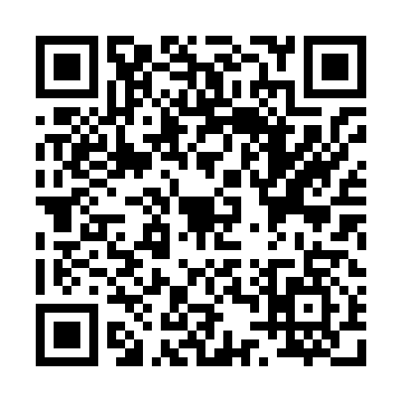 QR code for P488175