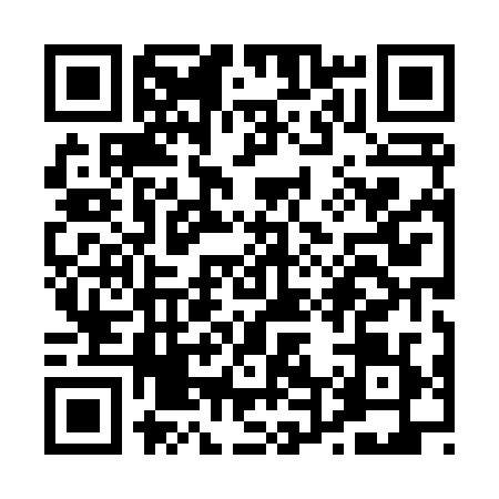 QR code for P488290
