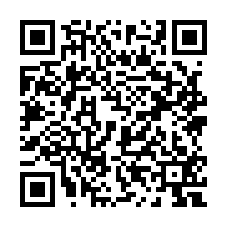 QR code for P491132