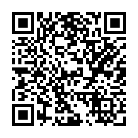 QR code for P49162
