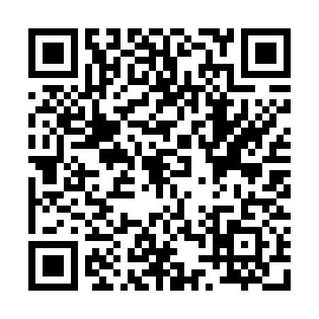 QR code for P497312