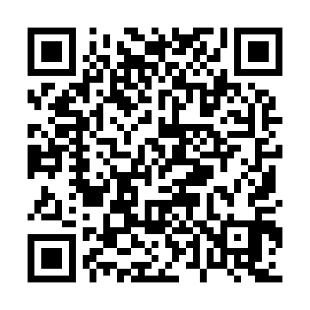 QR code for P49911