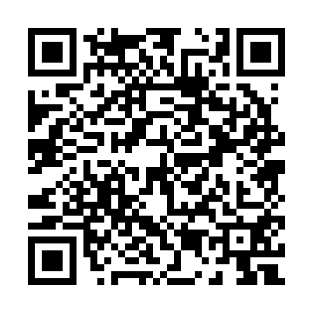 QR code for P502506