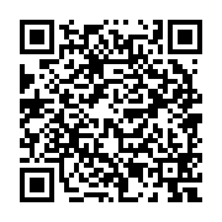QR code for P502993