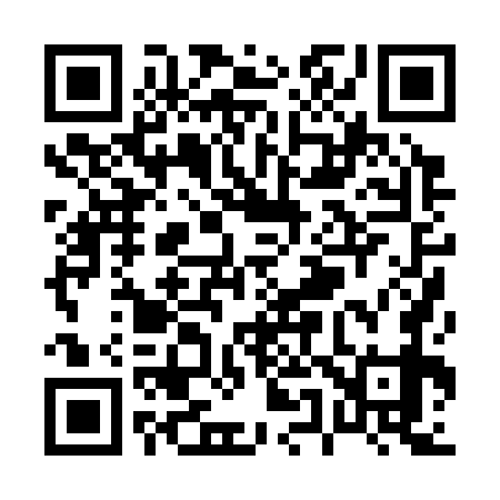 QR code for P50379