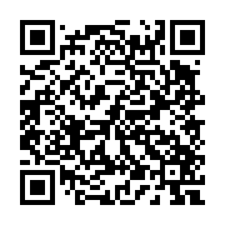QR code for P50447