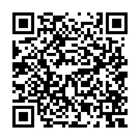 QR code for P507475