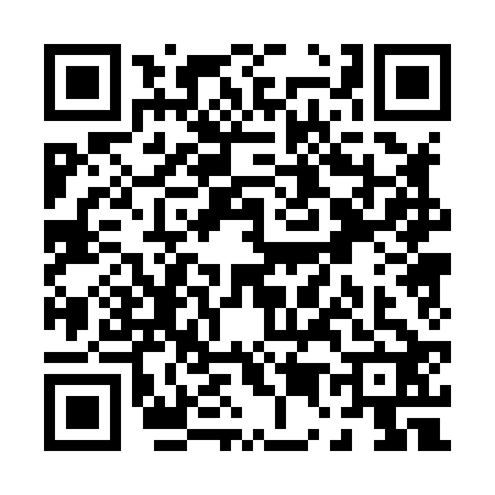 QR code for P508228