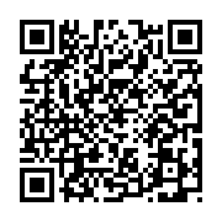 QR code for P508299